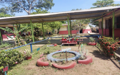 Sabor y Salud: Plantas medicinales en tu mesa